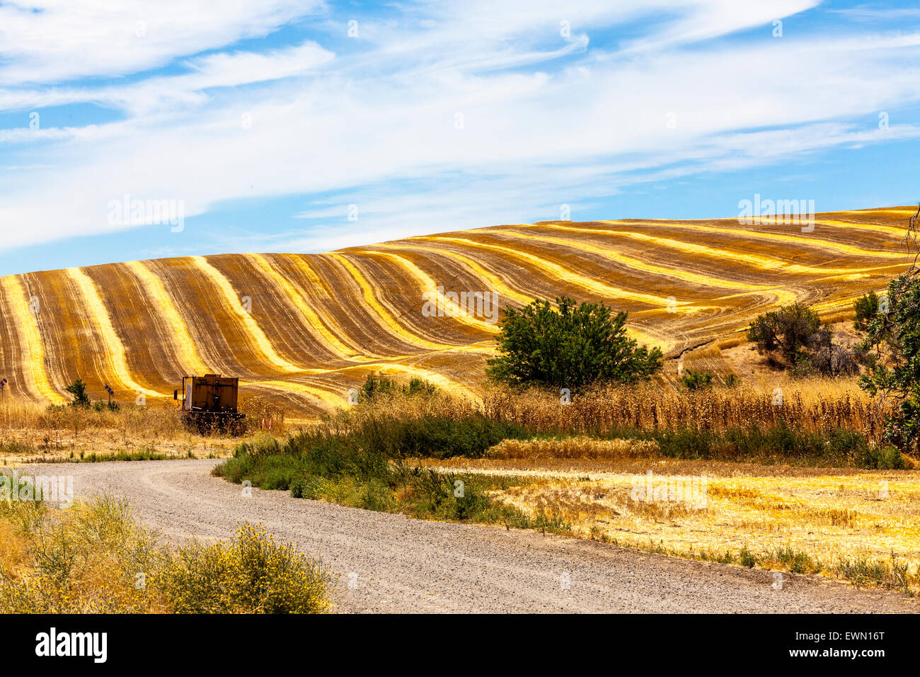 Un champ fraîchement tondue à Antioche en Californie Banque D'Images