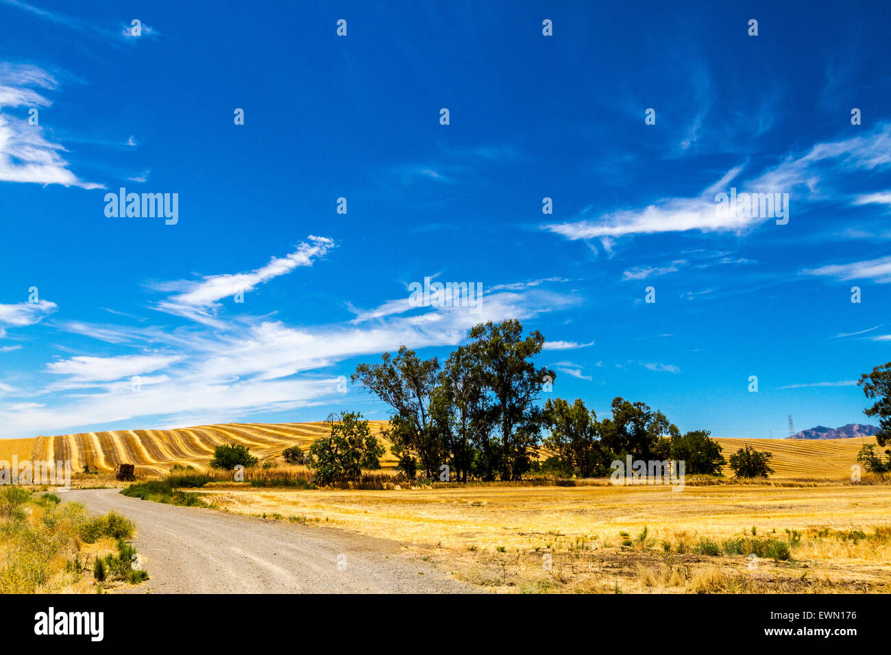 Un champ fraîchement tondue à Antioche en Californie Banque D'Images
