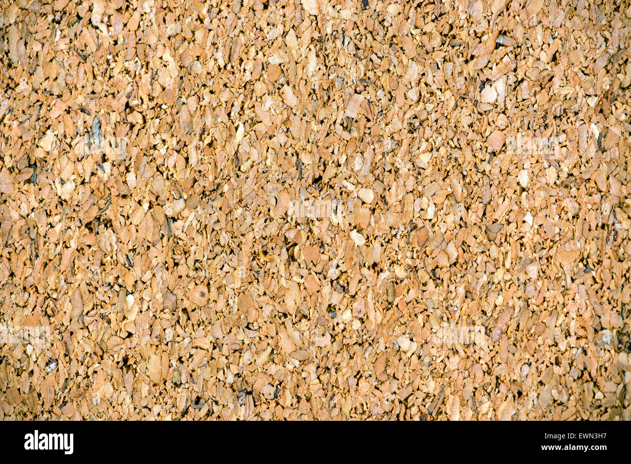 Plan Macro sur panneau de liège pour le fond ou la texture Banque D'Images