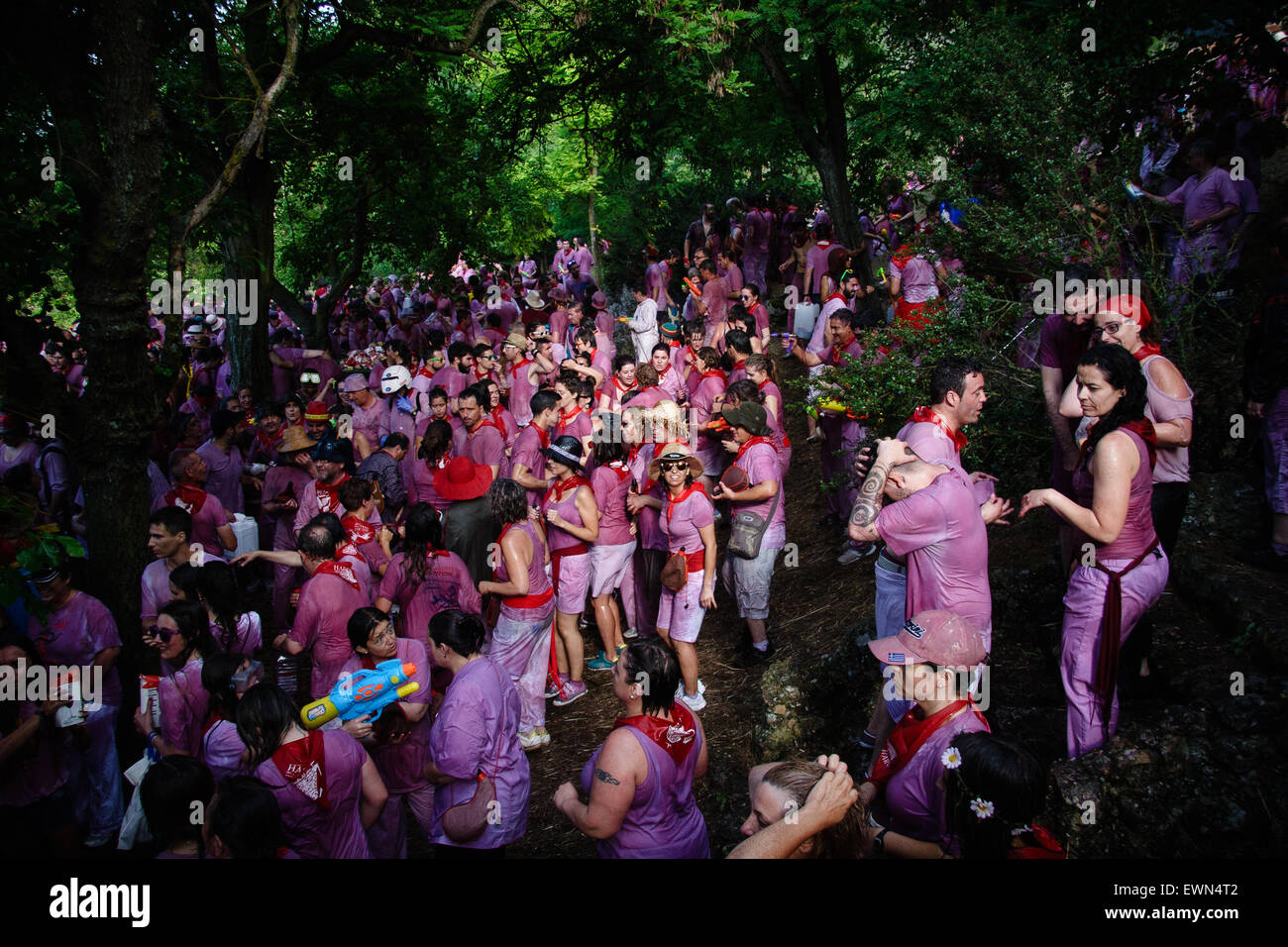 Riscos de Bilibio, Haro, La Rioja, Espagne. 29 juin 2015. Haro carnavaliers à Bataille de vin qui a lieu chaque année sur la journée. Banque D'Images