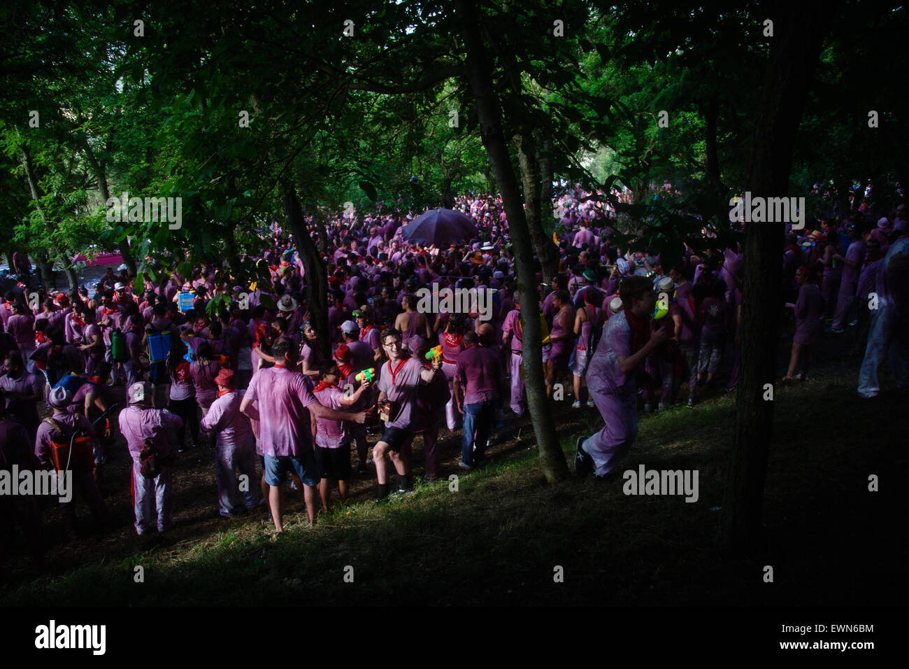 Riscos de Bilibio, Haro, La Rioja, Espagne. 29 juin 2015. Haro carnavaliers à Bataille de vin qui a lieu chaque année sur la journée. Banque D'Images