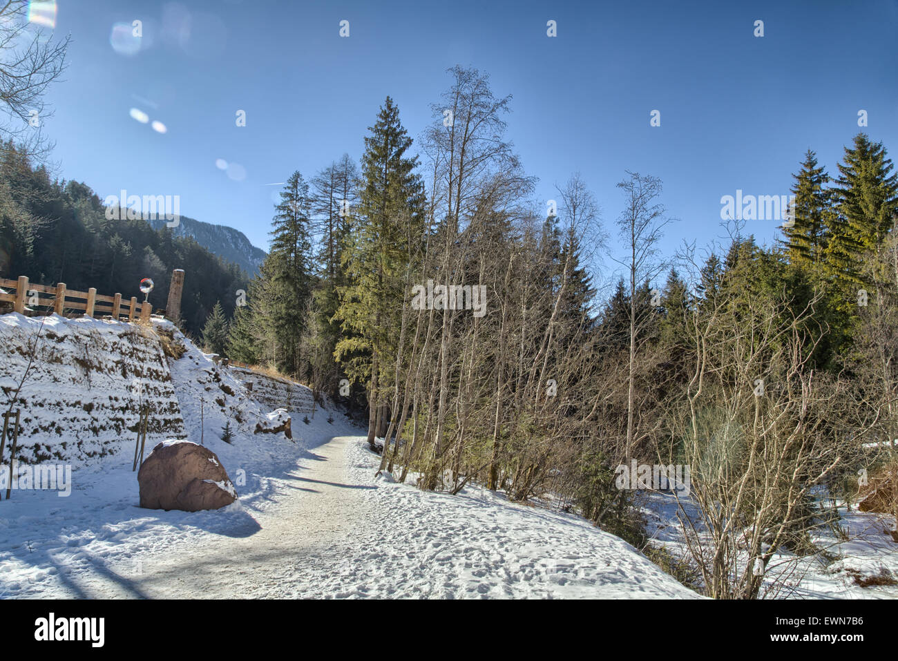 Chemin à pied dans une forêt de pins, d'épicéas et de sapins sur les Dolomites en hiver Banque D'Images