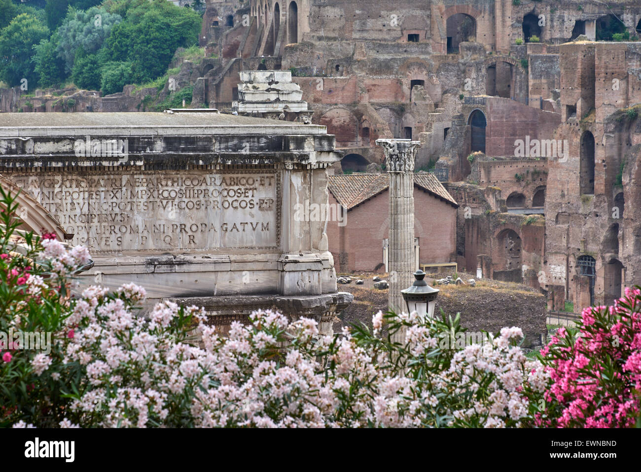 Le Forum Romain est un forum rectangulaire au centre de la ville de Rome Banque D'Images