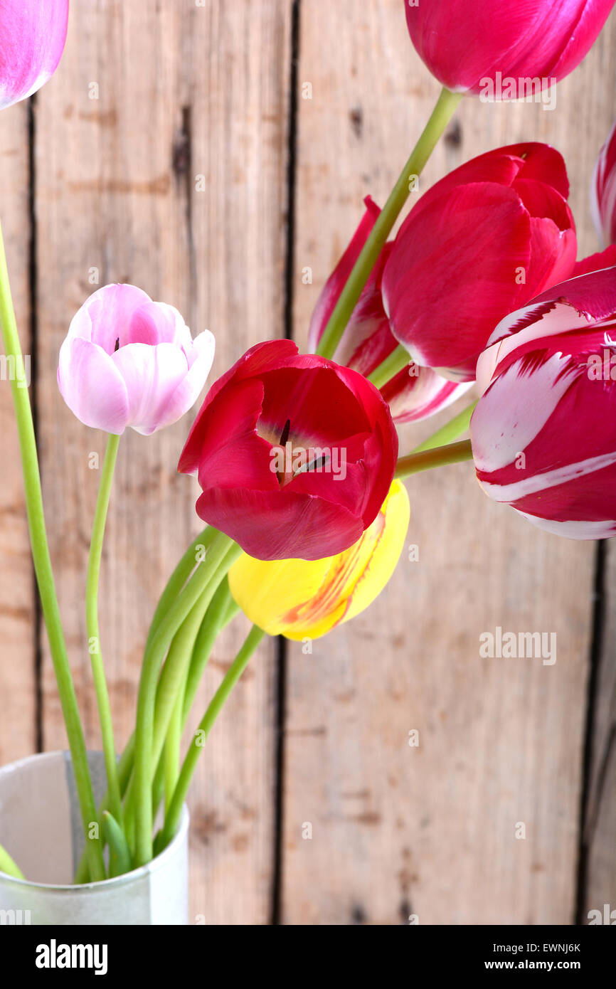 Bouquet de tulipes rouges contre un fond de bois, fleurs close up Banque D'Images