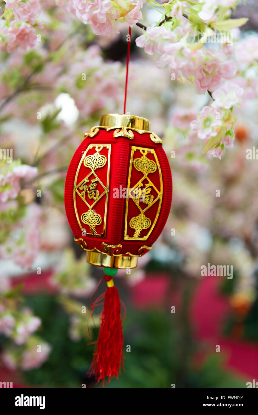 Le nouvel an chinois lanterne rouge cherry blossum dans un arbre. Banque D'Images