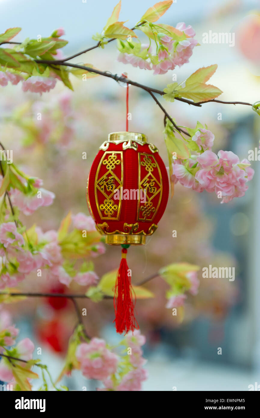 Le nouvel an chinois lanterne rouge cherry blossum dans un arbre. Banque D'Images