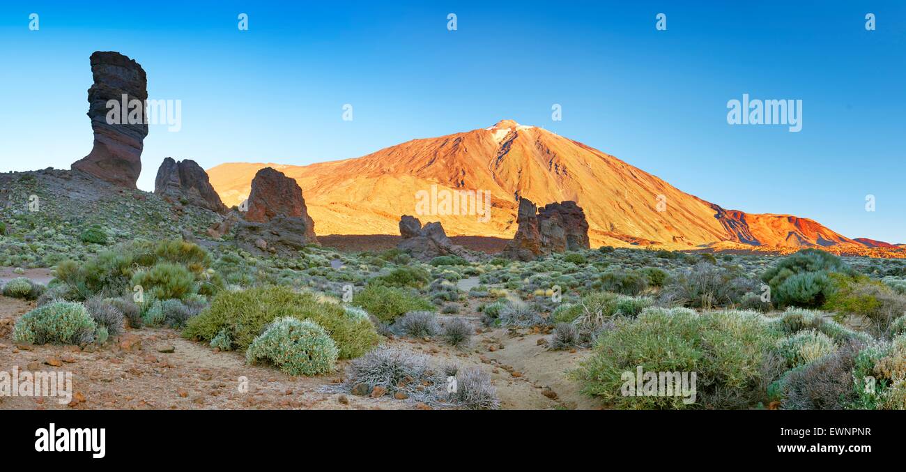 Tenerife, paysage panoramique vue de Roques de Garcia et le Mont Teide, Îles Canaries, Espagne Banque D'Images