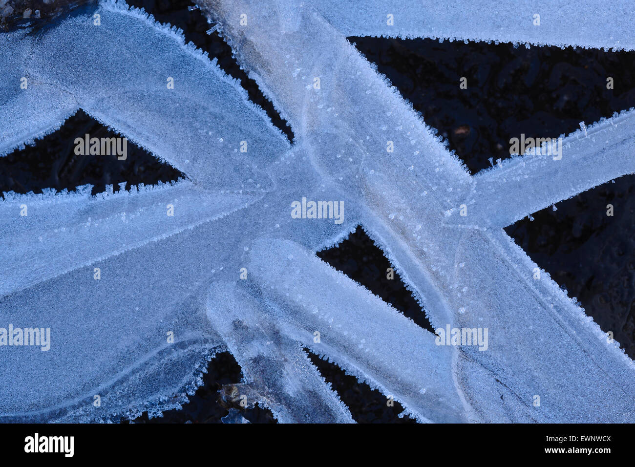 De la glace sur une flaque, goldenstedter moor en hiver, Niedersachsen, Basse-Saxe, Allemagne Banque D'Images