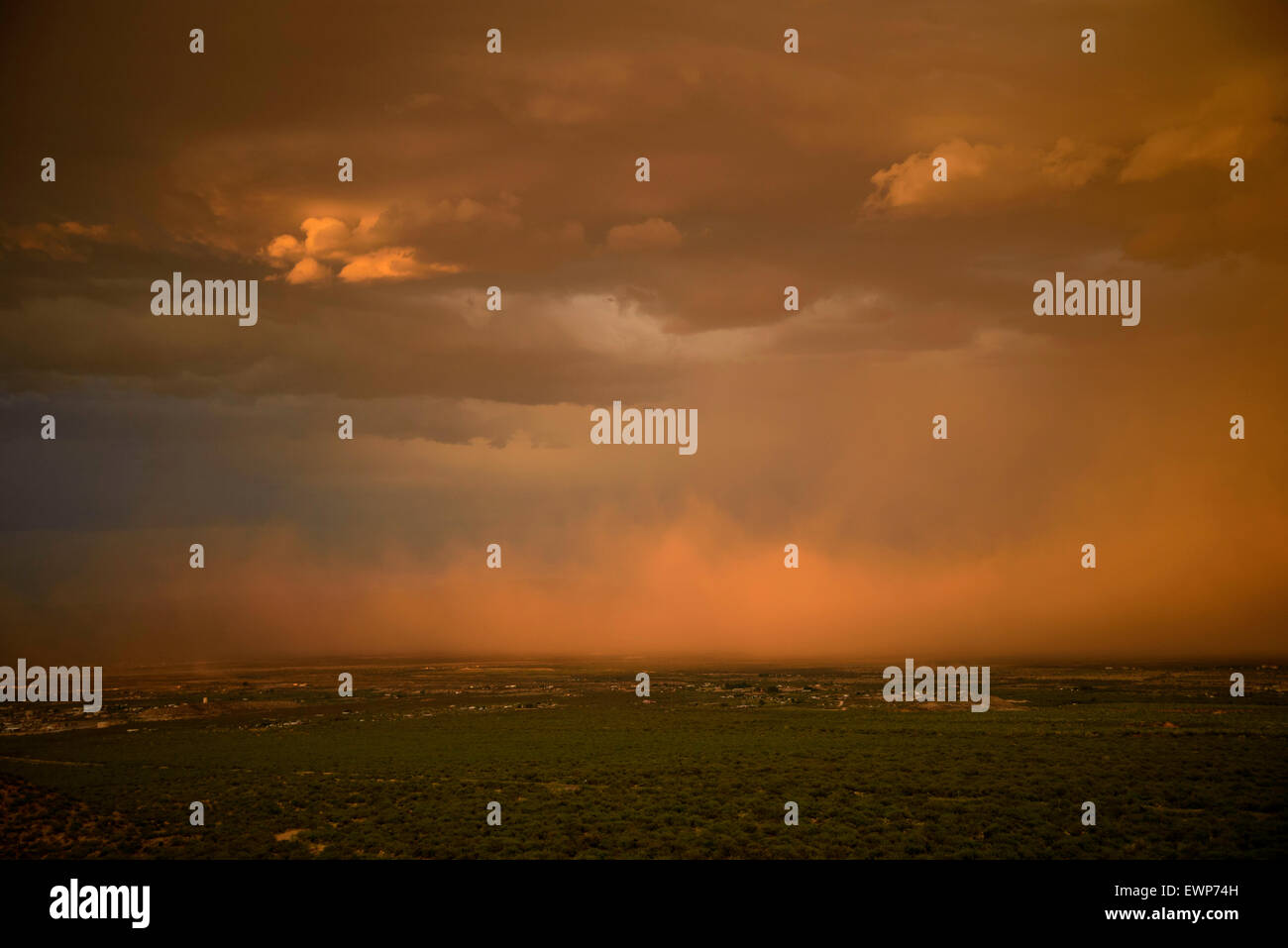 Un haboob se déplace dans le désert pendant une tempête de mousson au coucher du soleil près de Safford, Arizona, USA. Banque D'Images