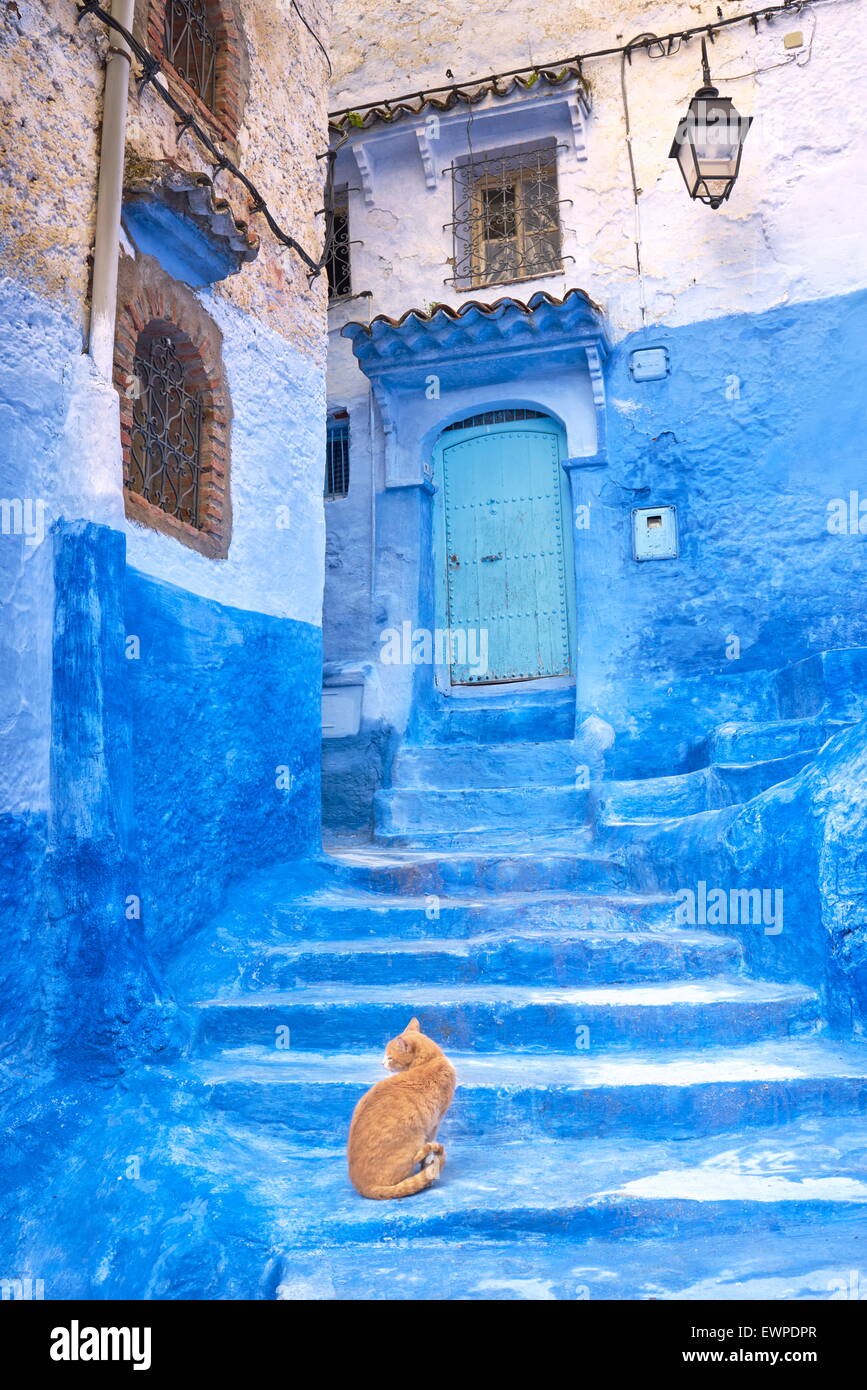 Chefchaouen (Chaouen). Est connu pour ses bâtiments dans des tons de bleu. Maroc Banque D'Images