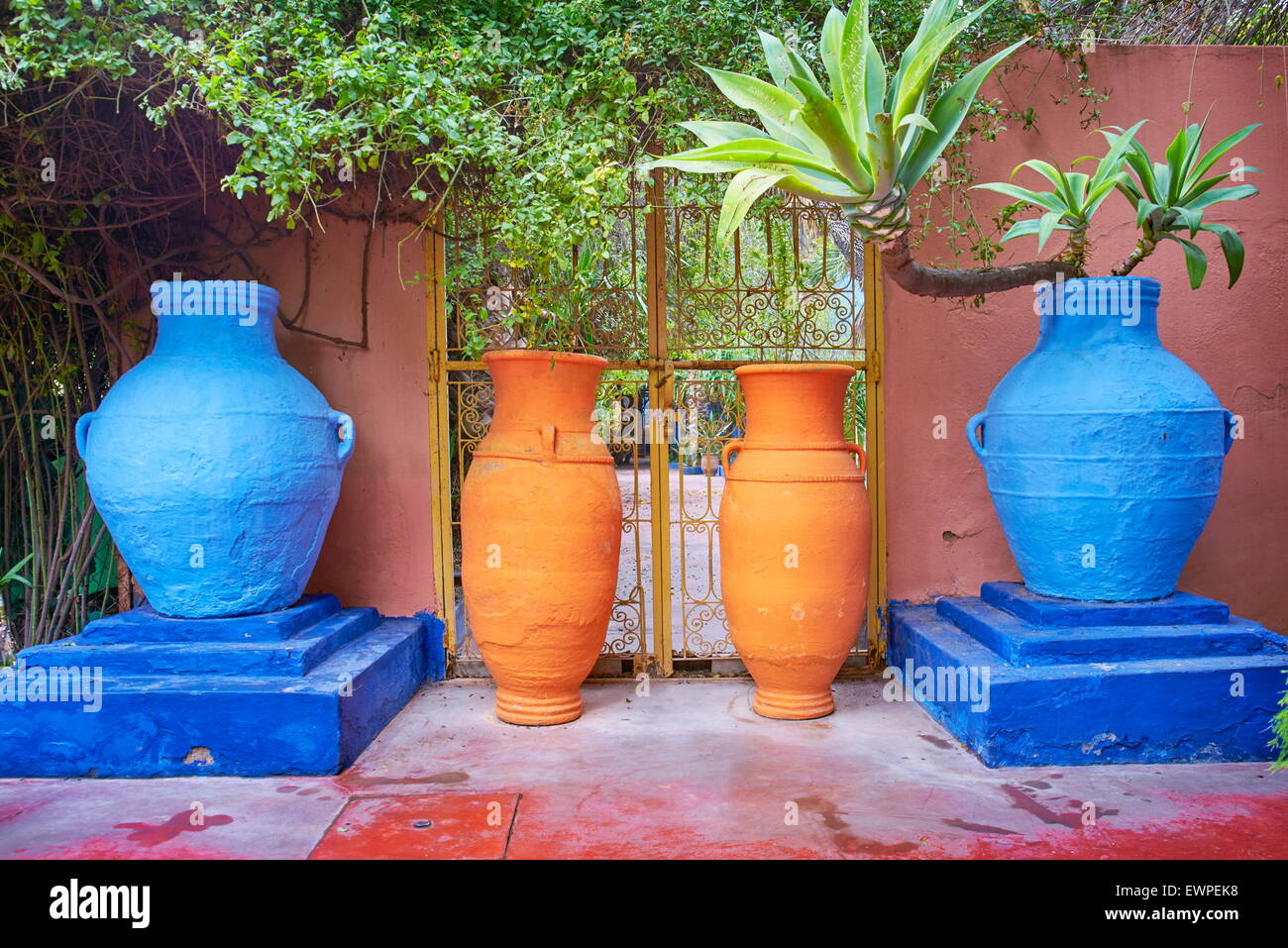Le jardin Majorelle à Marrakech. Maroc Banque D'Images