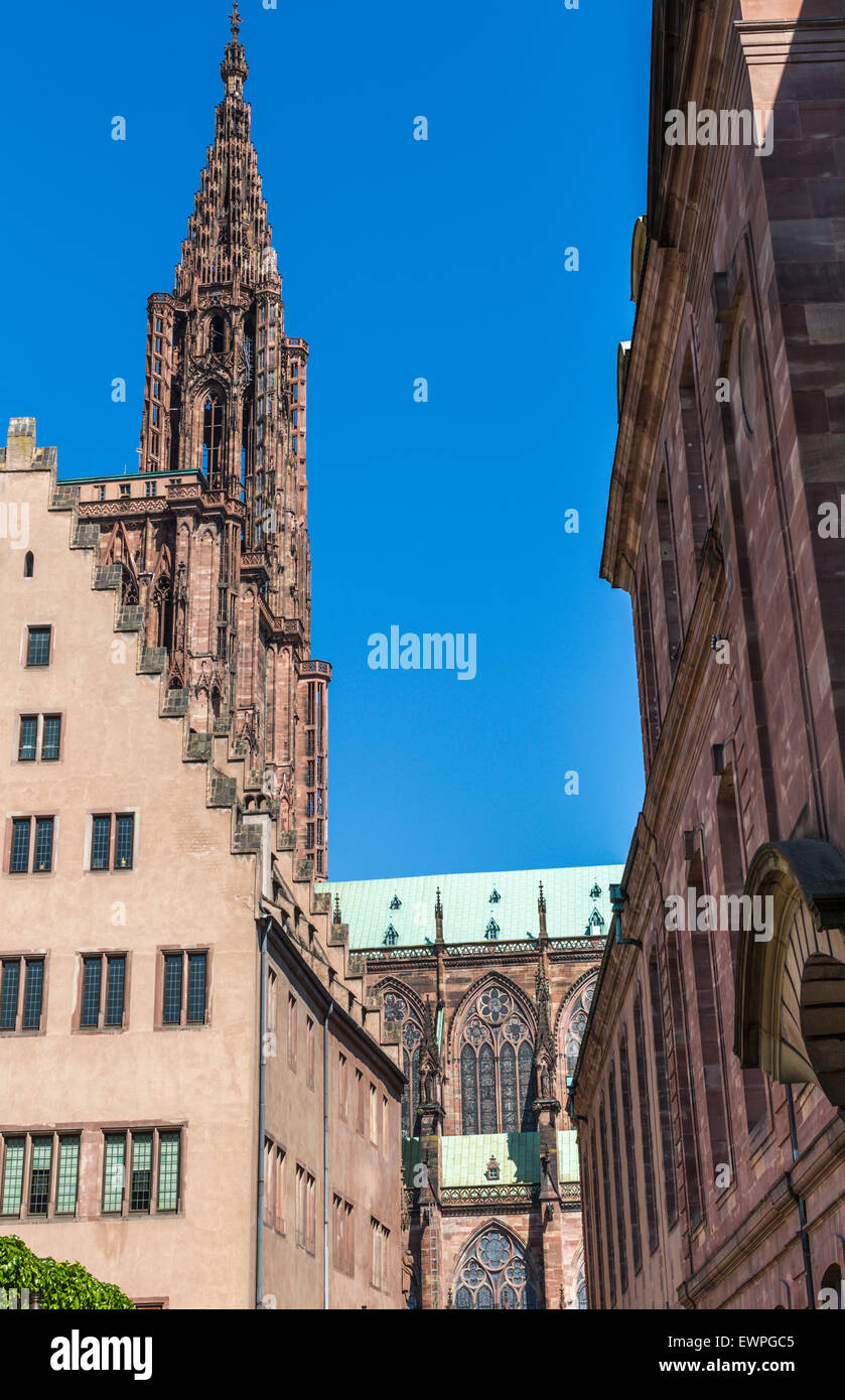 Notre Dame de la cathédrale de Strasbourg, Strasbourg, Alsace, France Banque D'Images