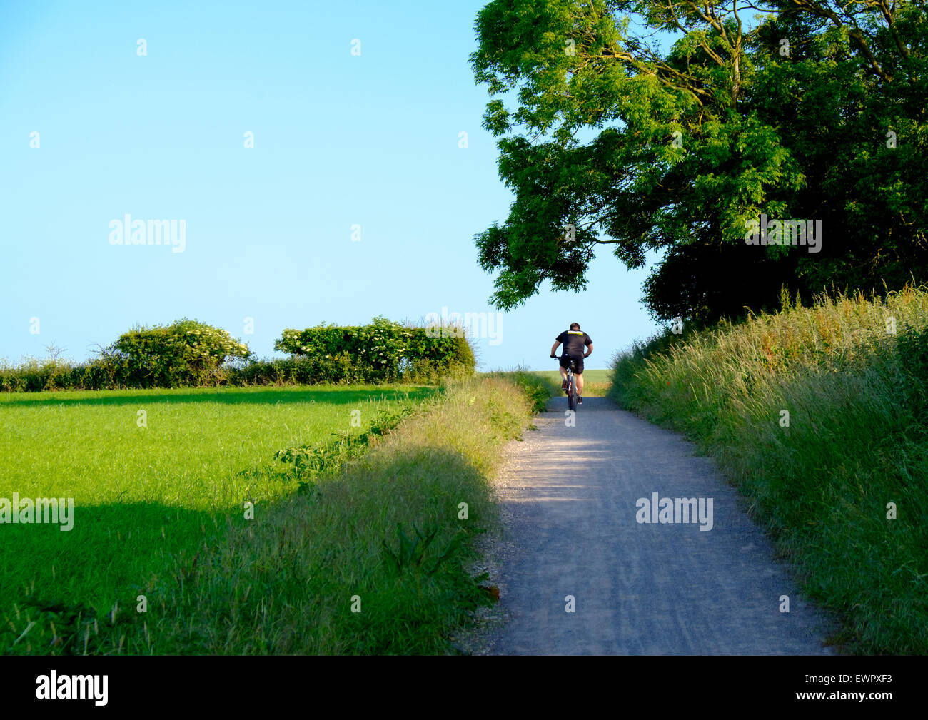 19 juin 2015 - Brighton and Hove, près de Brighton, UK : Un cycliste sur la nouvelle piste cyclable entre Falmer et Woodingdean, séparés de la Banque D'Images