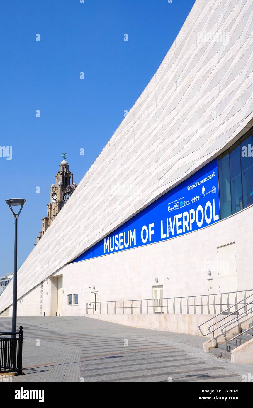 Le Musée de Liverpool building à Pier Head avec le Royal Liver Building tour de l'horloge à l'arrière, Liverpool, Angleterre, Royaume-Uni.. Banque D'Images