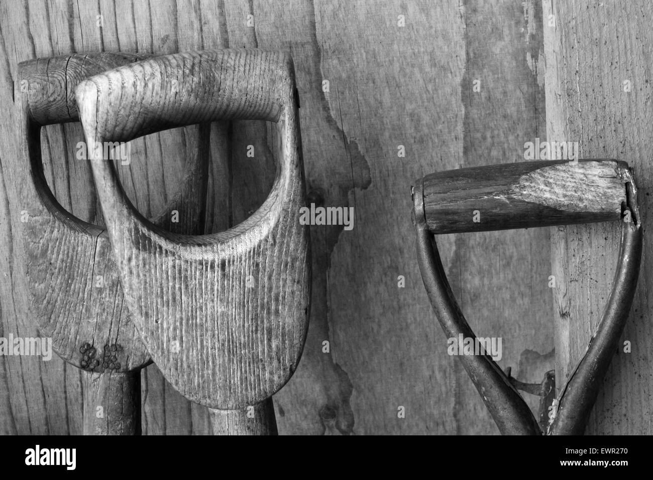 Poignées en bois d'outils de jardin. Banque D'Images