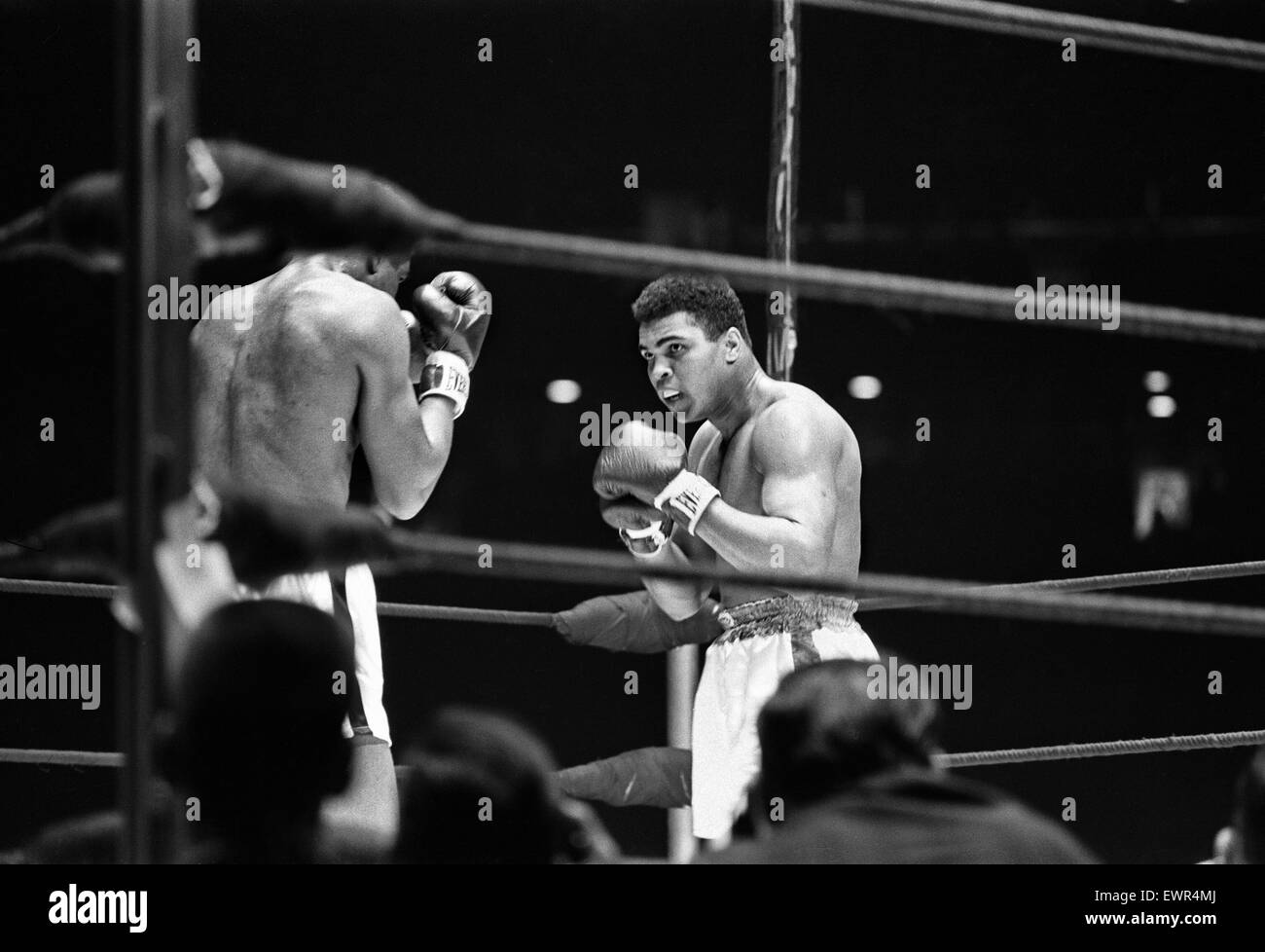 Muhammad Ali et Ernie Terrell se sont réunis pour mettre fin à la confusion quant à savoir qui était le champion du légitime. Avant le combat, Terrell à plusieurs reprises appelé Ali par son nom de naissance. Il a expliqué plus tard qu'il avait connu pendant des années dans l'argile les amateurs et n'avait pas obtenu Banque D'Images