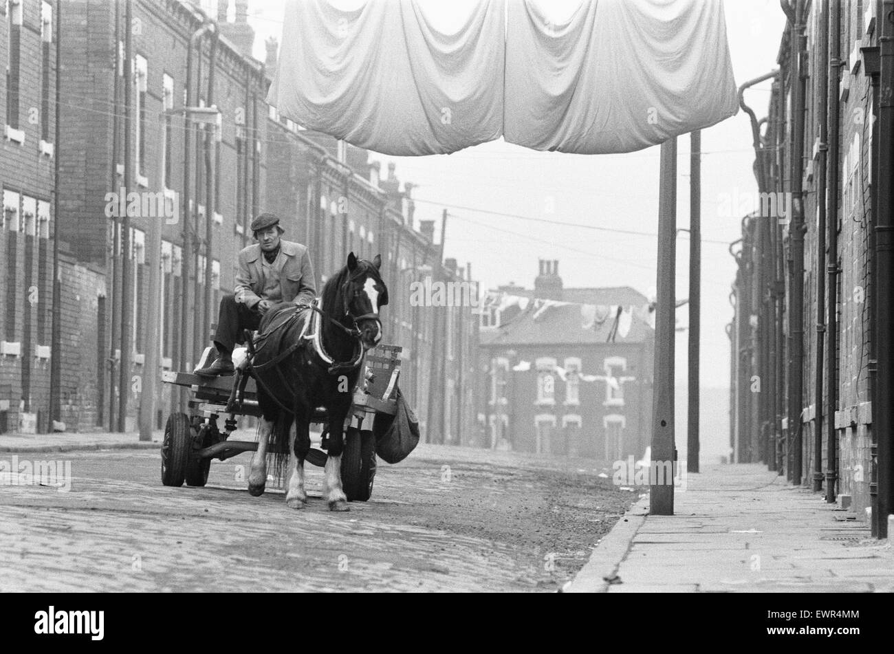 Un rag and bone man at les rênes de son cheval et panier vu ici voyageant les rues d'une ville du nord sans nom à la ferraille 1er février 1982 Banque D'Images