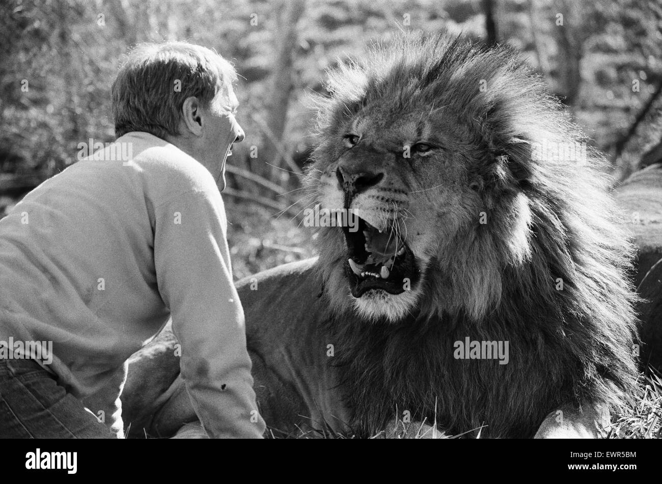 Noel Marshall avec ses animaux sur son San Fernando Valley composé. 25 janvier 1982. Banque D'Images