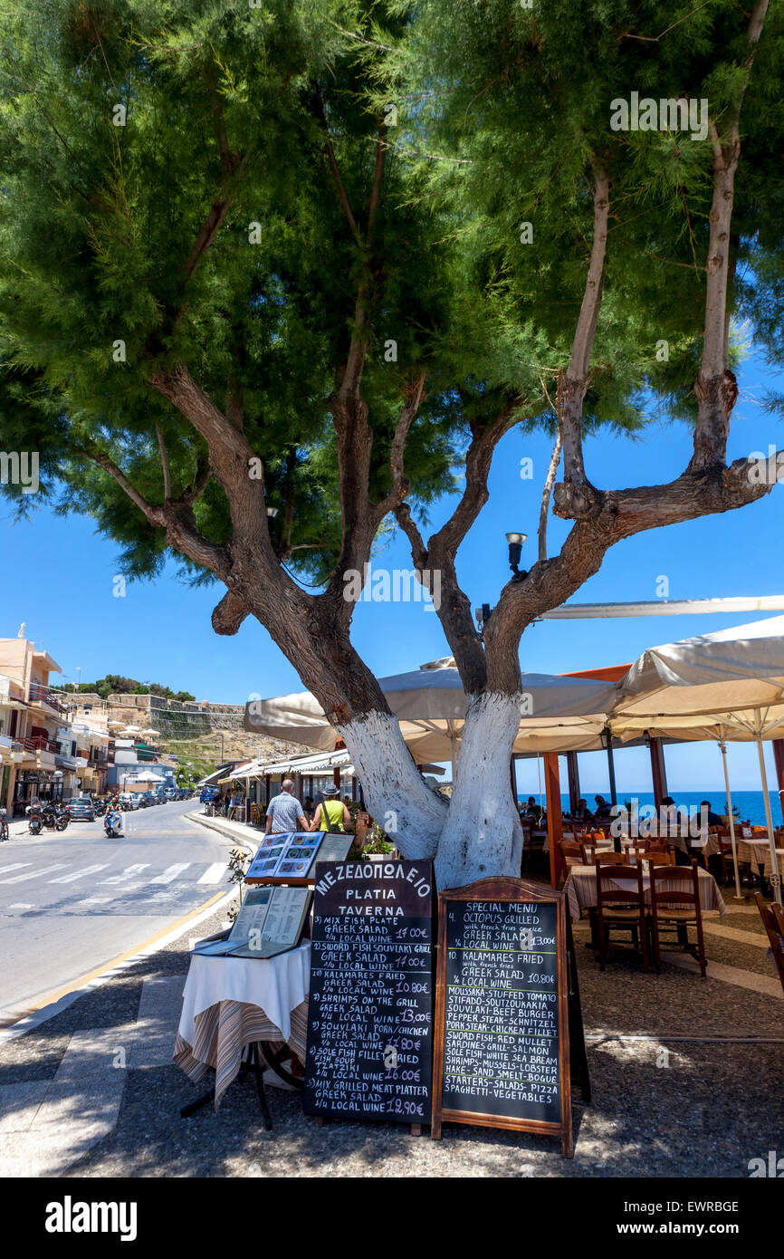 Bar Restaurant Bellow tamaraisk arbre Rethymno Crète Grèce bord de mer taverne Banque D'Images