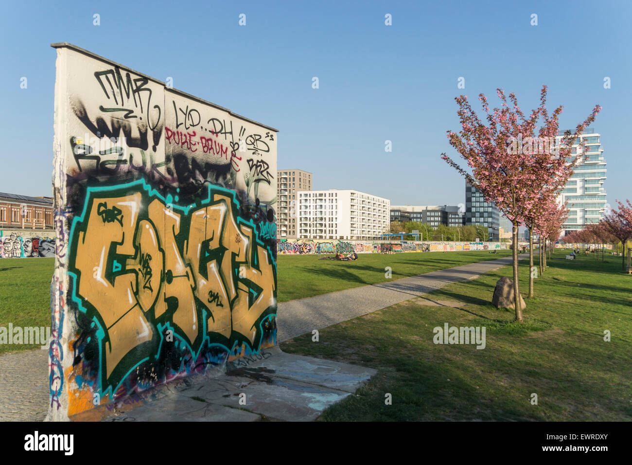 East Side Park , morceau du Mur de Berlin, l'arrière de la East Side Gallery, gratte-ciel, les niveaux de vie Fleur de cerisier Banque D'Images