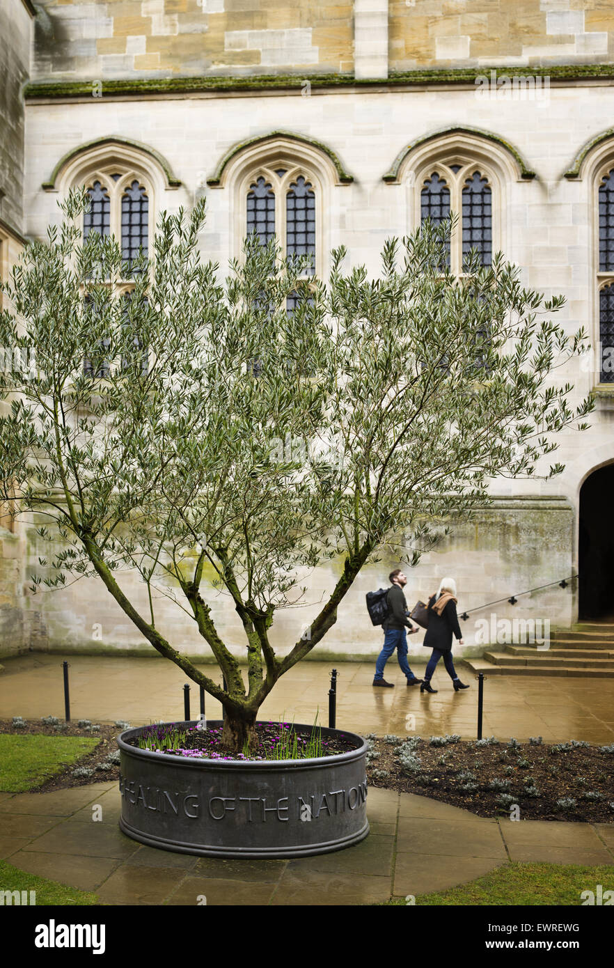 Constituant un Christ Church college de l'Université d'Oxford en Angleterre Banque D'Images