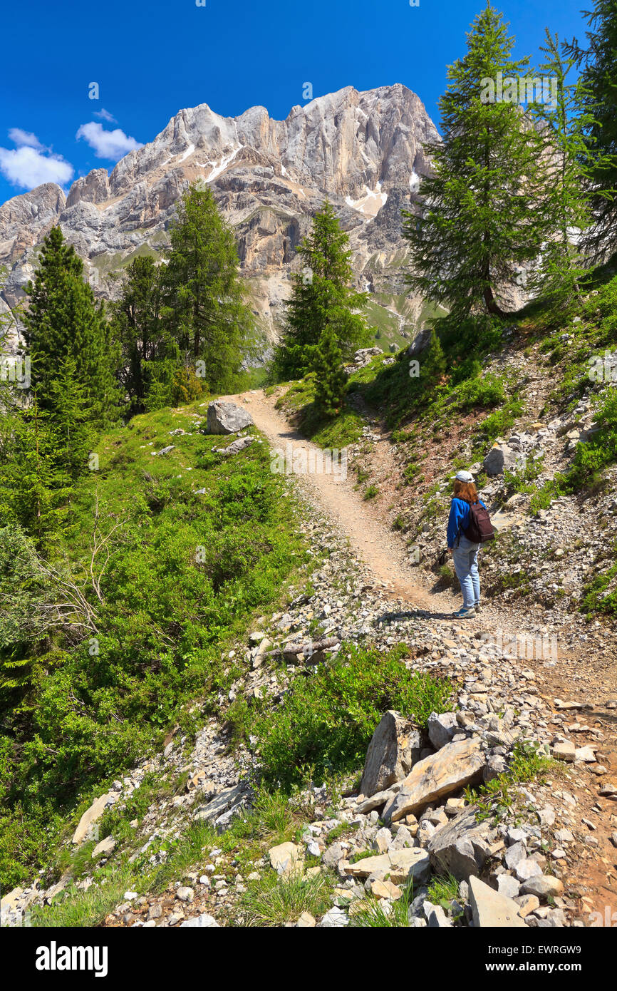 Randonneur sur sentier dans la vallée de Flora alpina, Trentin, Italie Banque D'Images