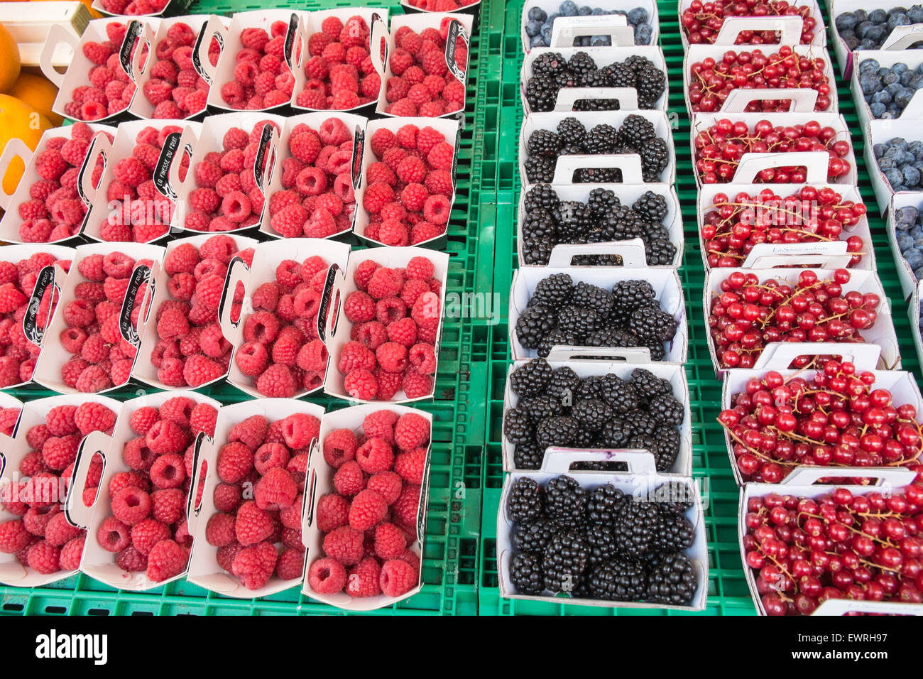 Paris, France, marché d'Aligre,,fruits,marche,piscine,Paris,les petits fruits Banque D'Images