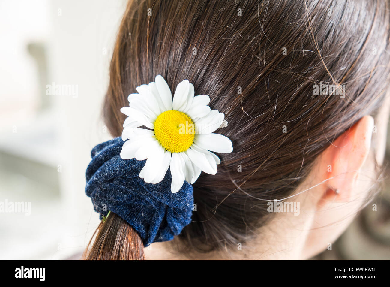 Paris,France,Paris,daisy,fleurs,cheveux,hippie hippie,femme Banque D'Images