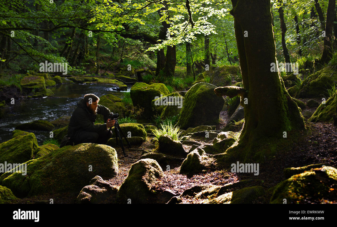 Un photographe de paysage de prendre des photos dans les bois Banque D'Images