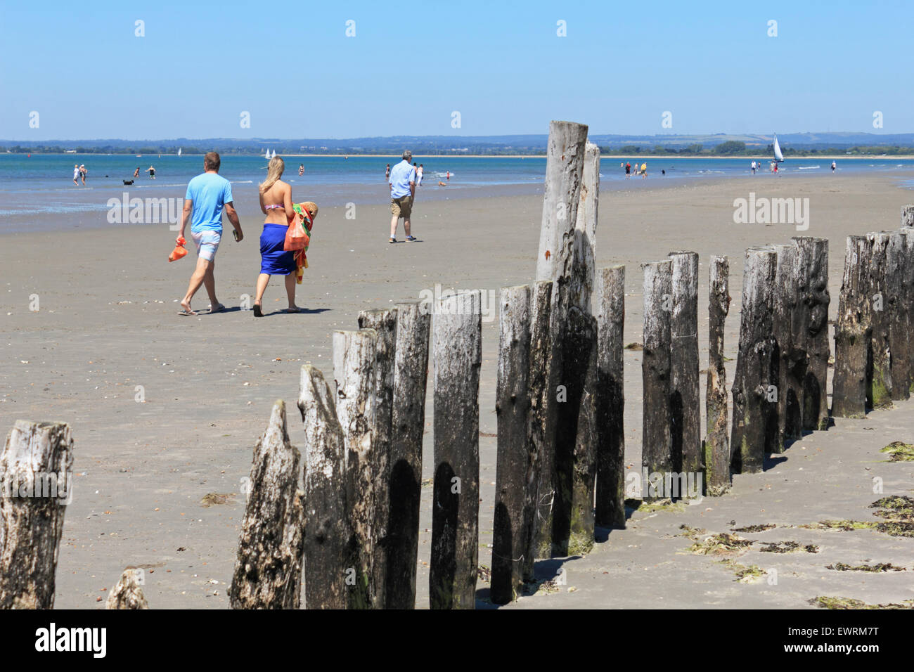 West Wittering Beach, West Sussex, UK. 30 Juin, 2015. Sur la journée la plus chaude de l'année, la température atteignait 26 degrés sur la côte sud de la West Wittering, avec une douce brise et endless blues skies sur une belle plage de sable. Credit : Julia Gavin UK/Alamy Live News Banque D'Images