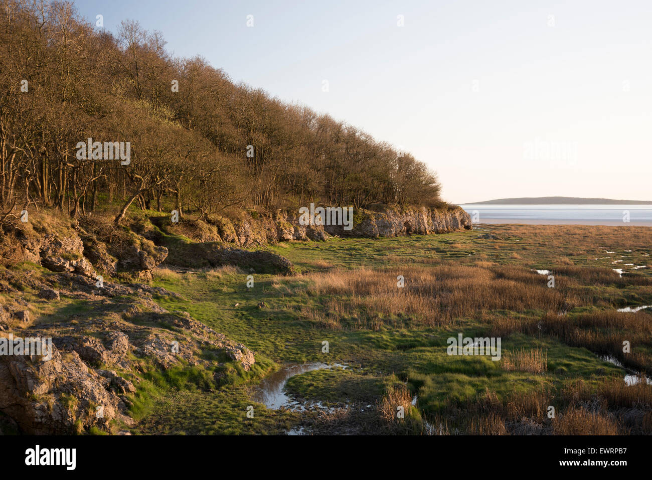 Baie du ruisseau blanc près de Arnside, Cumbria. Banque D'Images