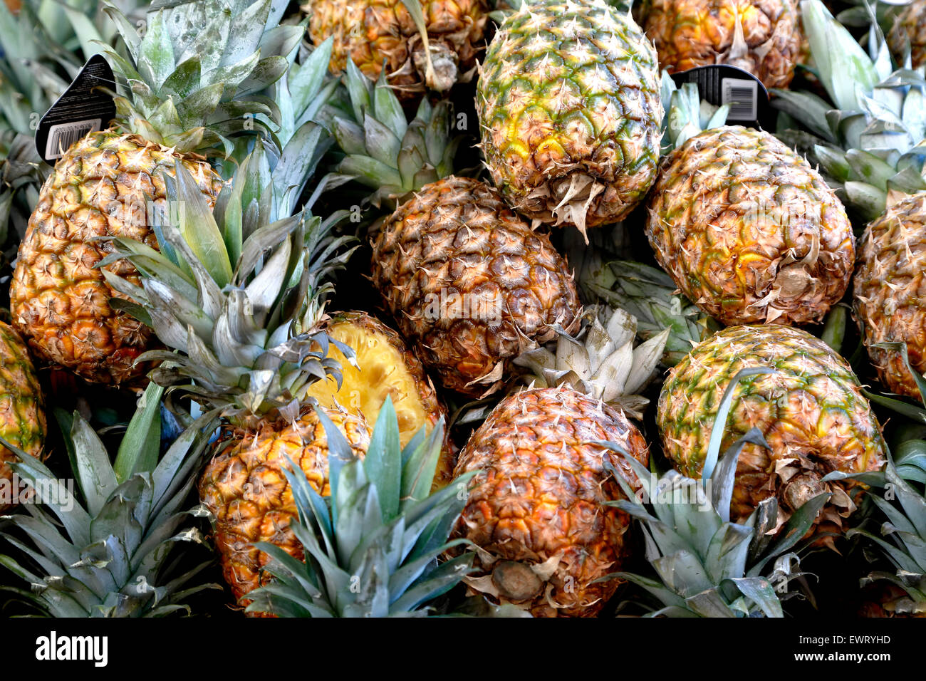 L'ananas, Haymarket Square Farmers Market, North End, Boston, Massachusetts, USA Banque D'Images