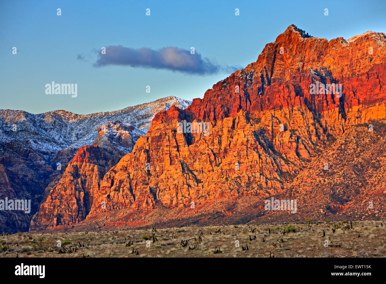 Spring Mountains, Red Rock Canyon National Conservation Area, Park Road de Red Rock Canyon National Conservation Area et la neige c Banque D'Images