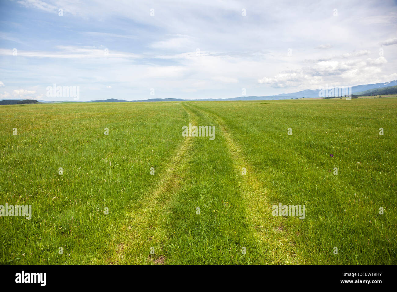Paysage d'une vaste prairie avec rural un luxuriant vert printemps herbe. Jour tourné avec ciel nuageux. Banque D'Images