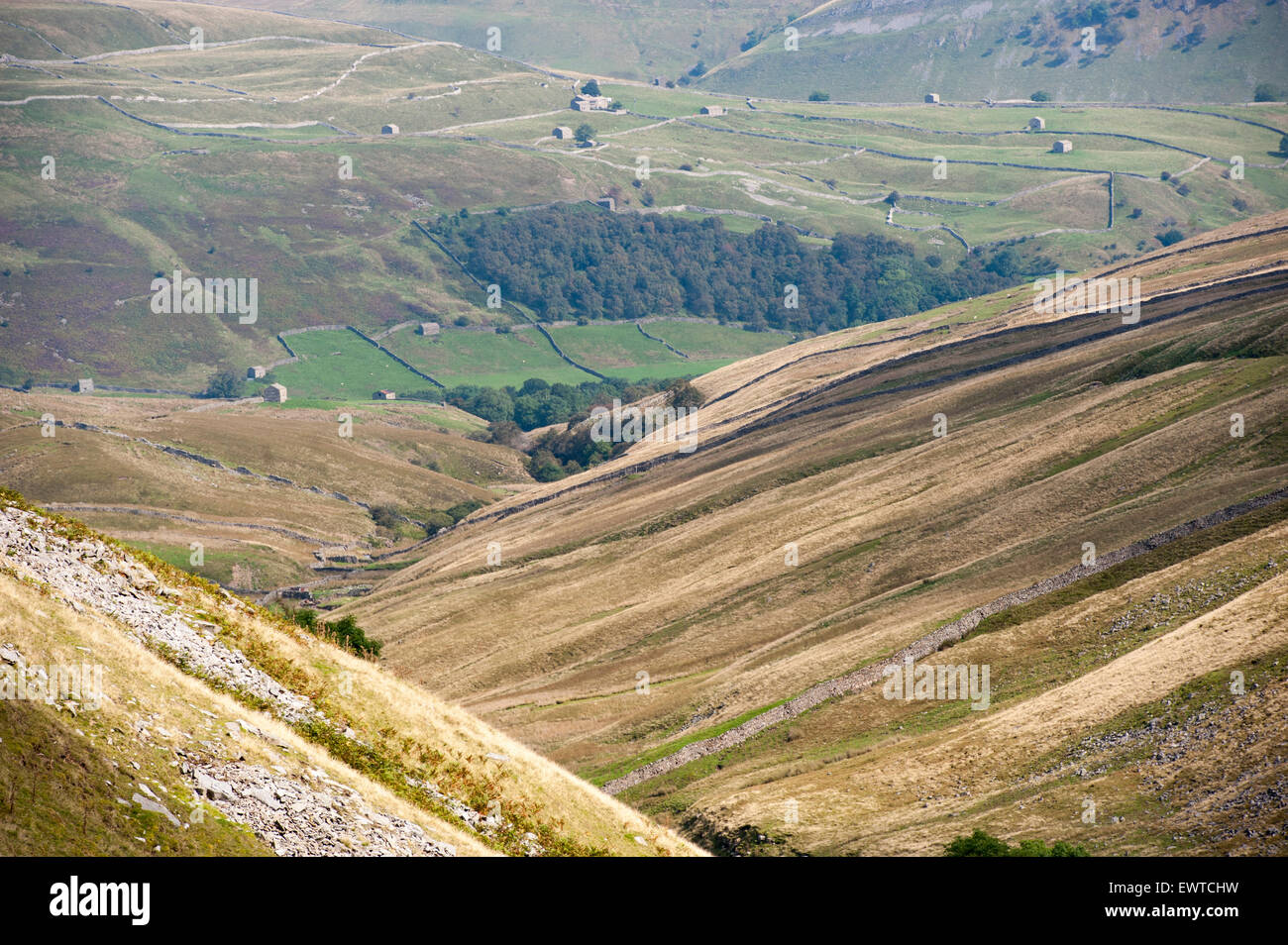 Regardant vers le bas du col Buttertubs Swaledale, North Yorkshire, UK. Banque D'Images