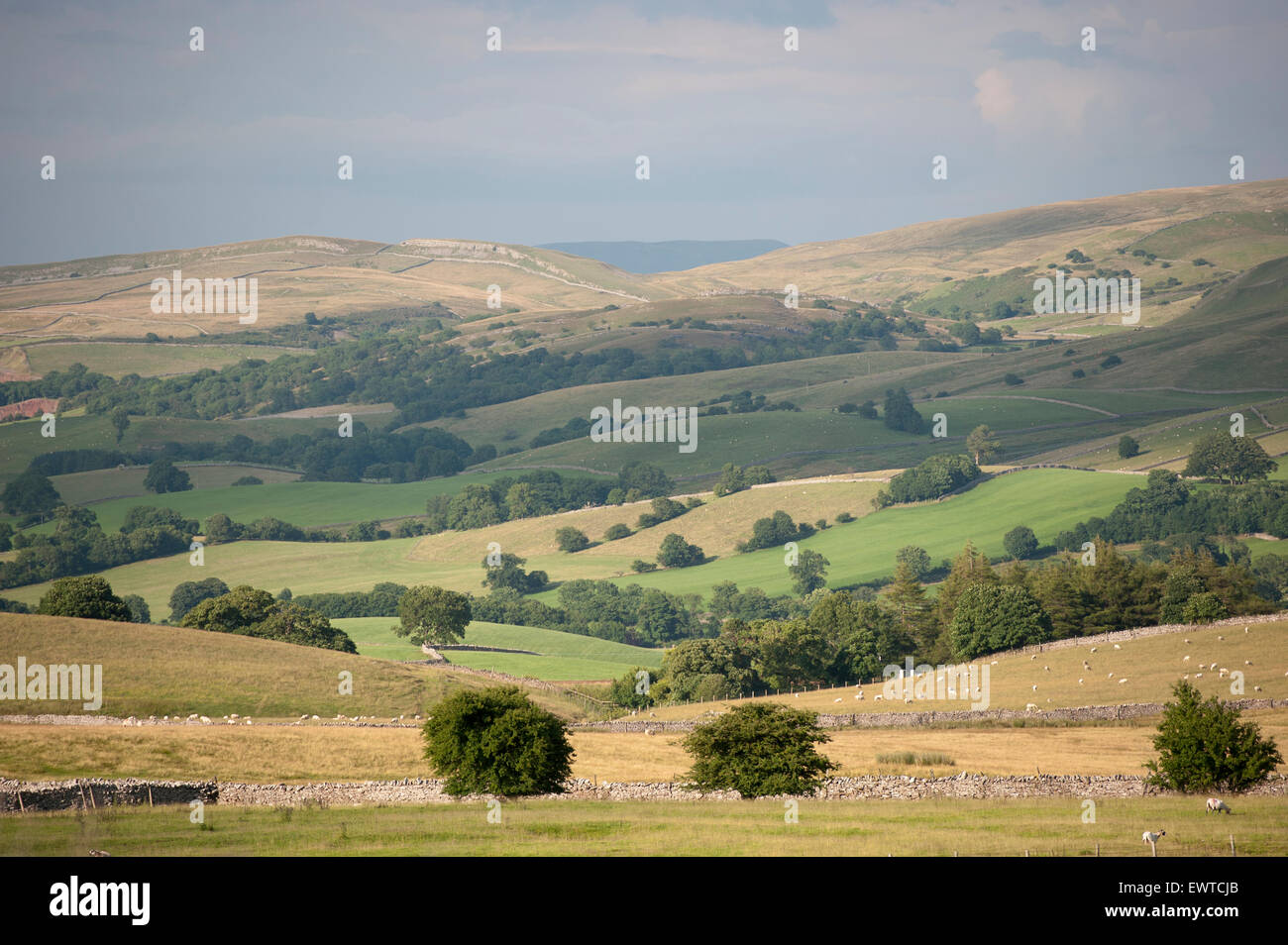 Paysage dans la haute vallée de l'Eden à proximité de Kirkby Stephen, Cumbria, Royaume-Uni. Banque D'Images