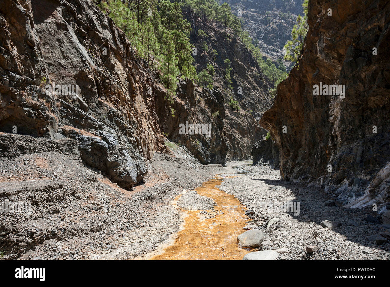 Barranco de las Angustias avec de l'eau ferreuse, Caldera de Taburiente National Park, La Palma, Canary Islands, Spain Banque D'Images