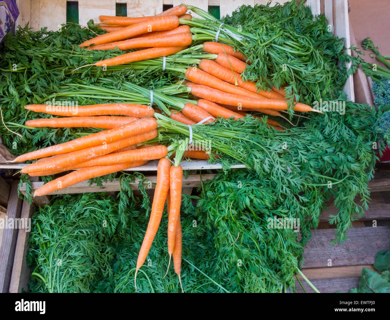 Des carottes cultivées localement dans un greengrocery dans Thirsk North Yorkshire Angleterre Banque D'Images