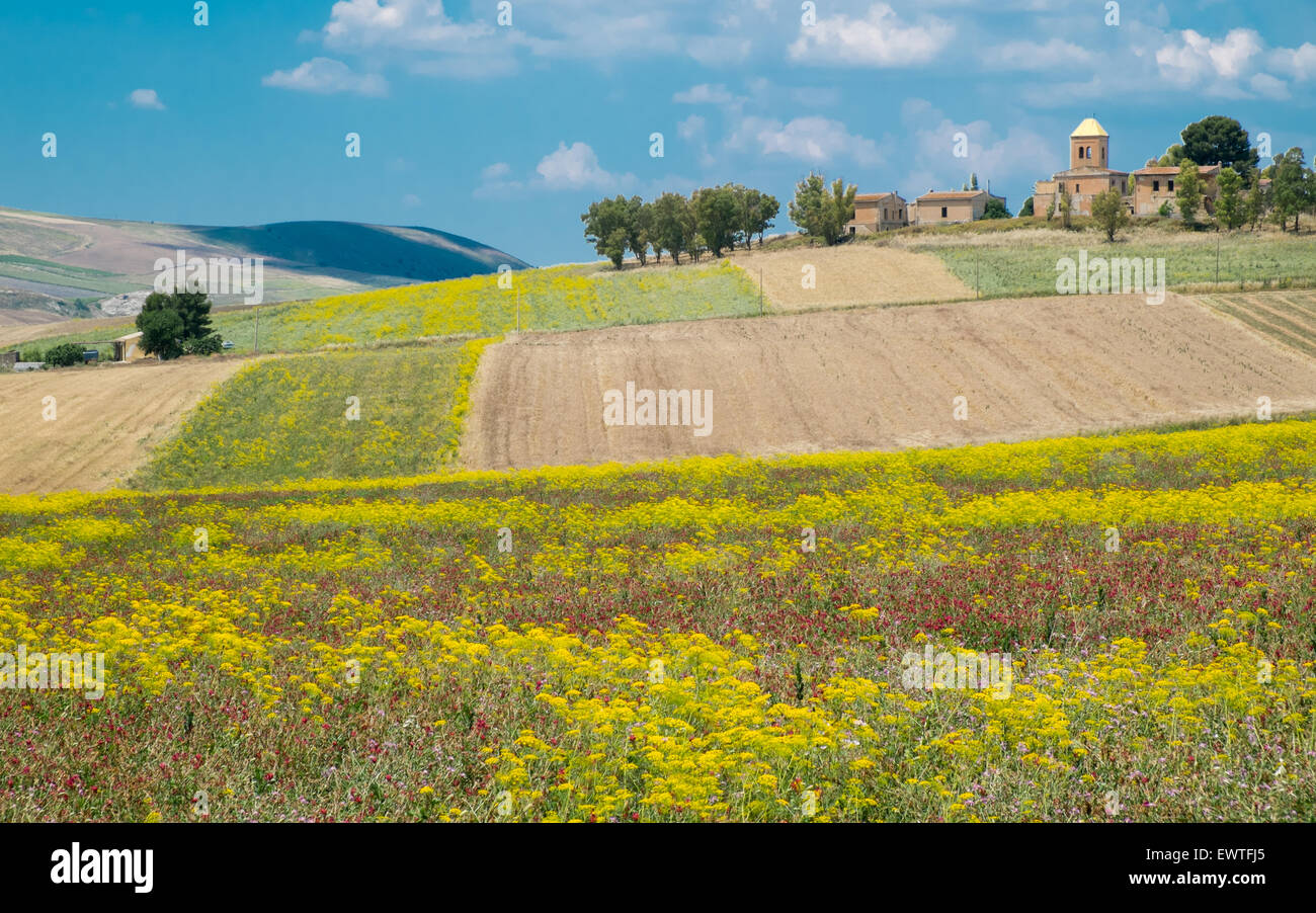 Dans la campagne aux environs de Corleone, en Sicile Banque D'Images Dans la campagne aux environs de Corleone, en Sicile Banque D'Images