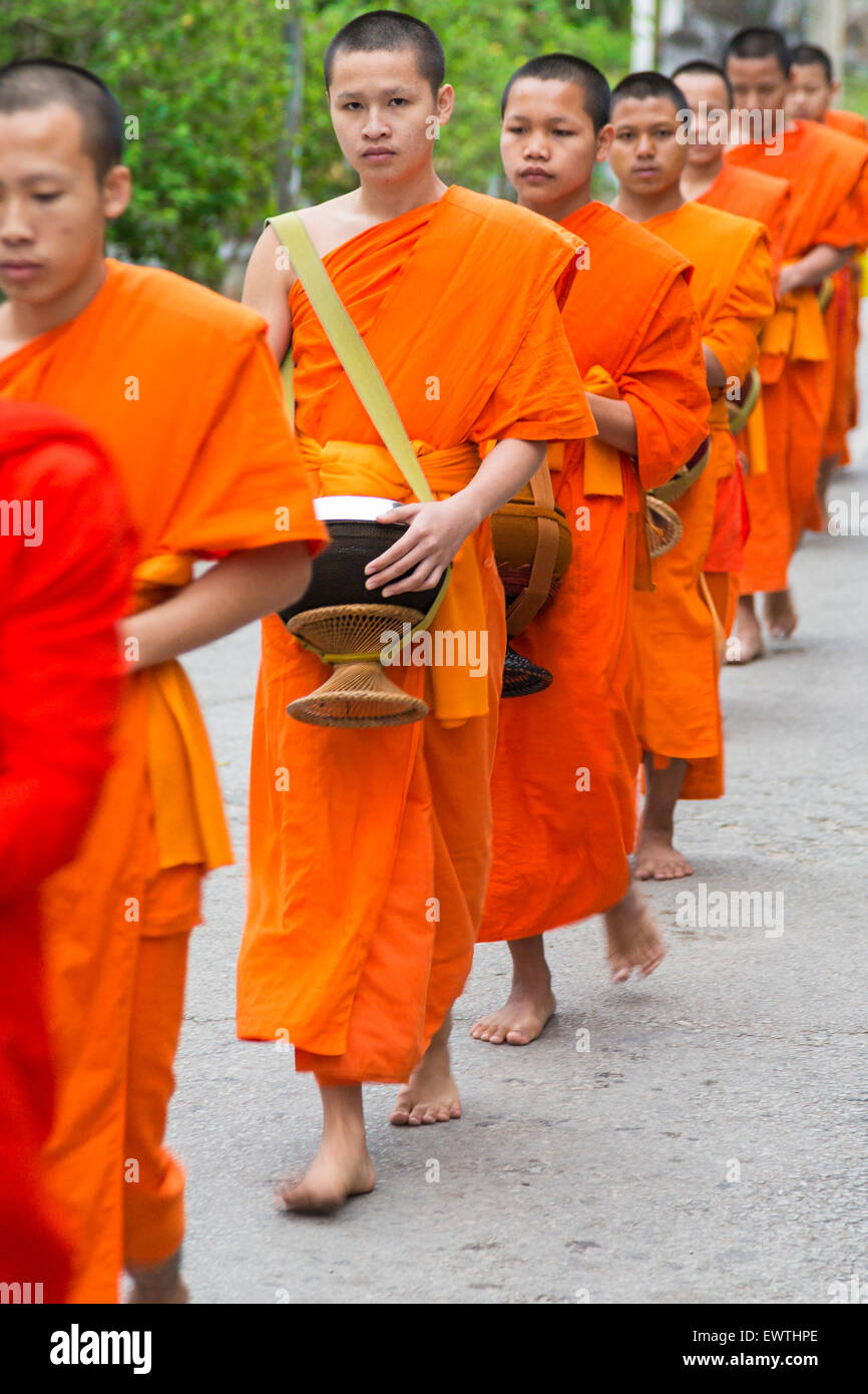 Matin offrant des moines, Luang Prabang, Laos Banque D'Images