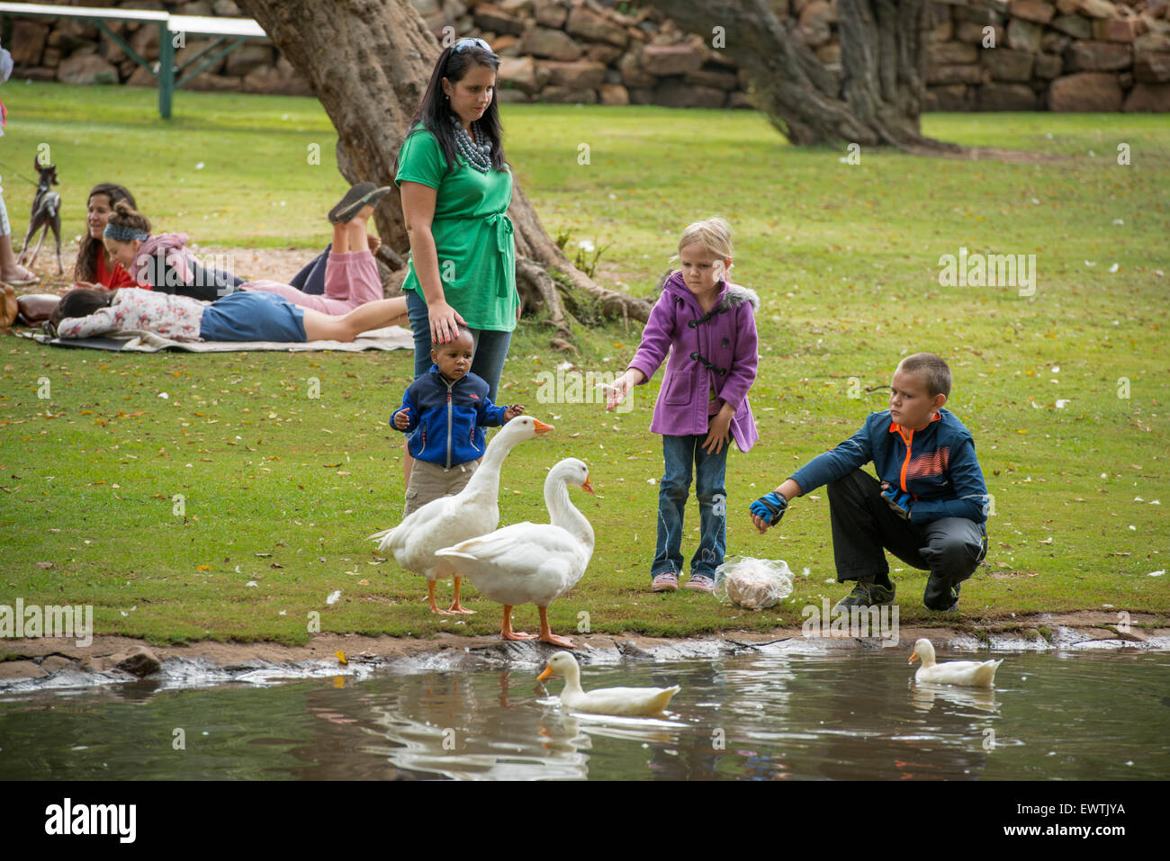 L'AFRIQUE DU SUD- Famille jouant avec les oies blanches Banque D'Images