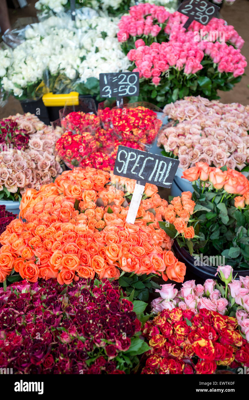 L'AFRIQUE DU SUD- fleurs à vendre au marché de fermiers à Pretoria Banque D'Images