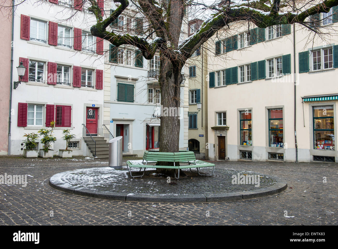 Arbre généalogique en banc autour de Zurich Suisse, Europe Banque D'Images