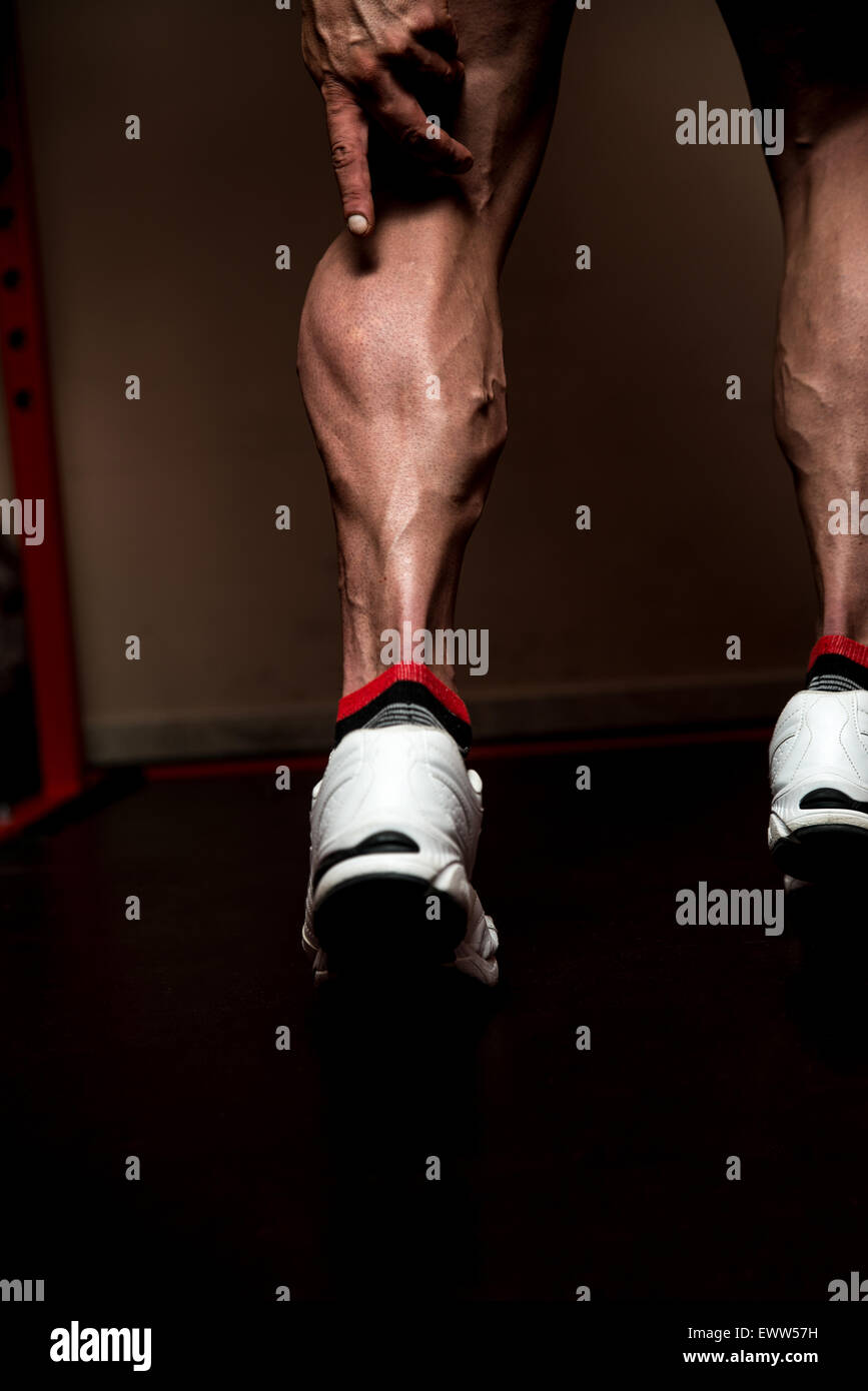 Veau jambes sportive Banque D'Images