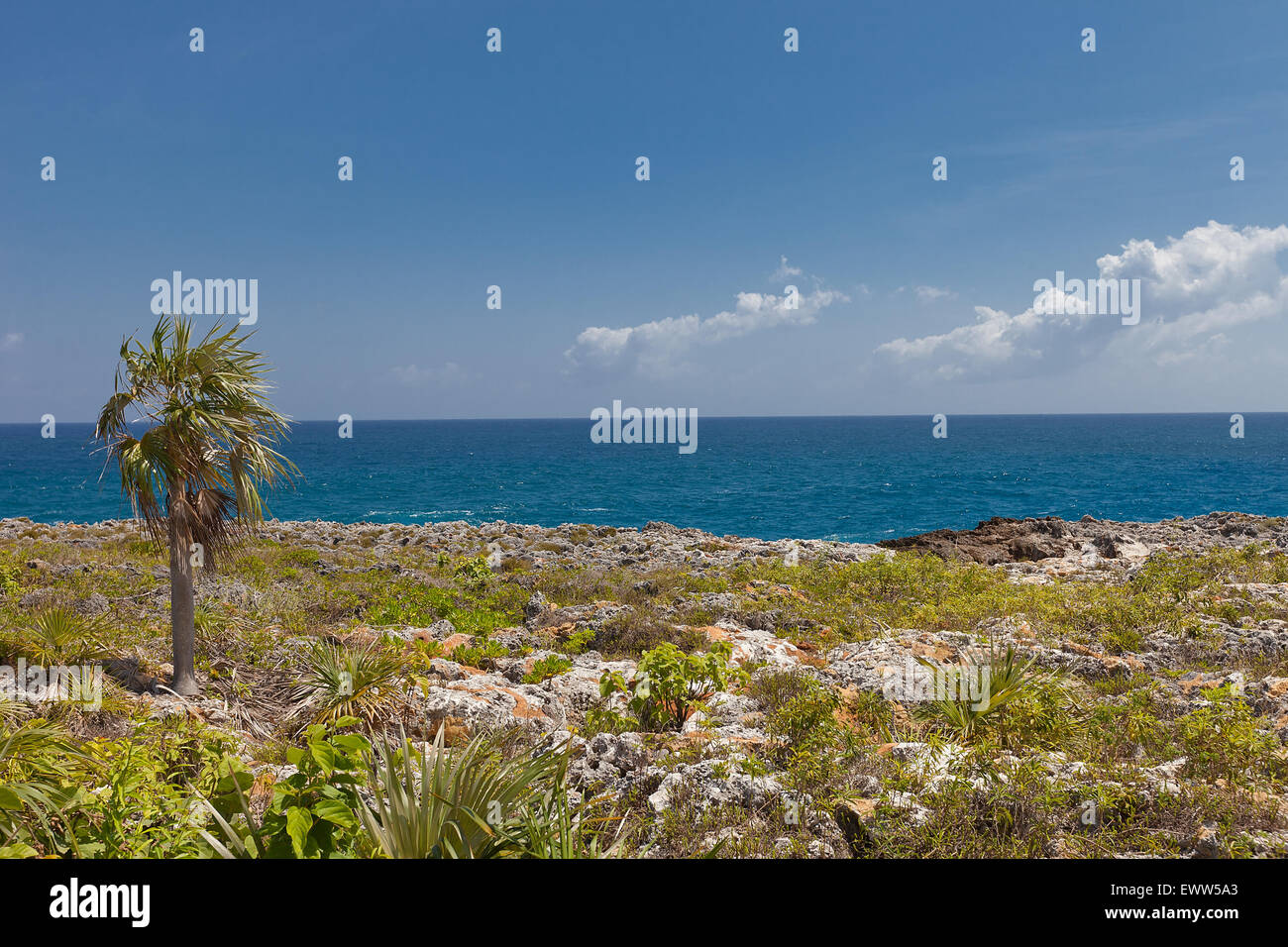 Rive de l'île Grand Cayman, îles Caïmans, territoire britannique d'outre-mer Banque D'Images