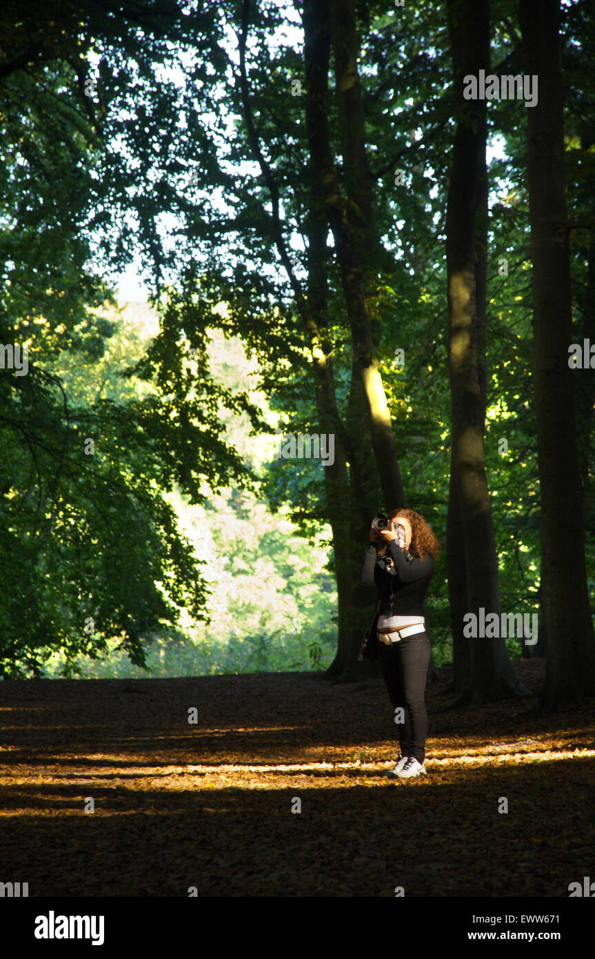 Femme de prendre des photos dans la forêt Banque D'Images