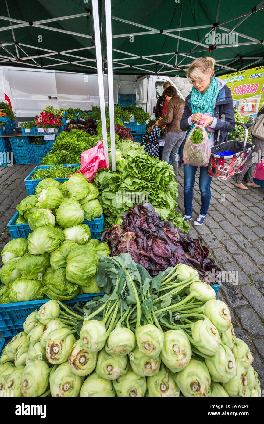 Marché de rue de Prague sur le quai de la Vltava, Prague, République Tchèque, Europe Banque D'Images