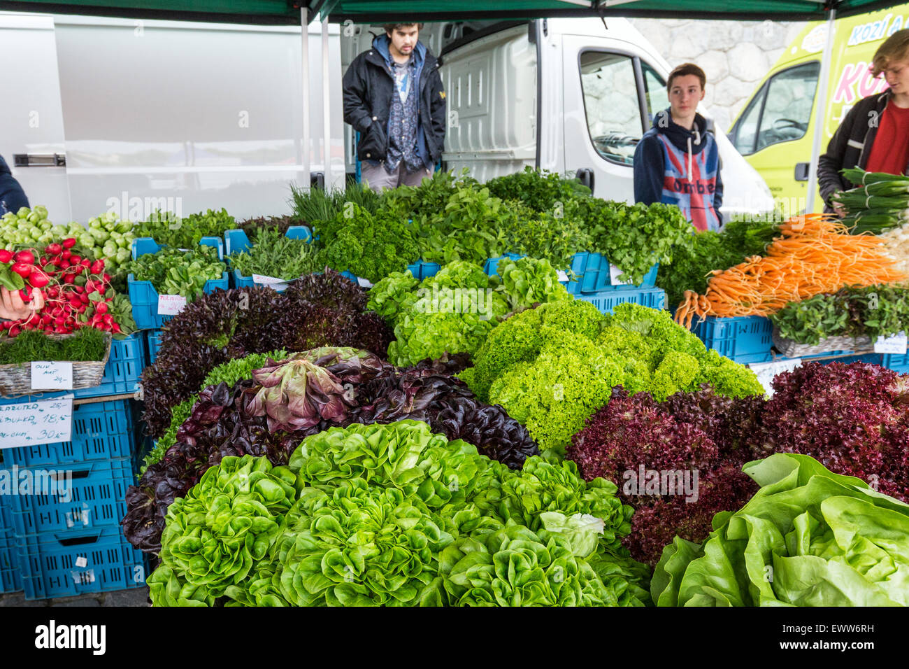 Marché de rue de Prague sur le quai de la Vltava, Prague, République Tchèque, Europe Banque D'Images