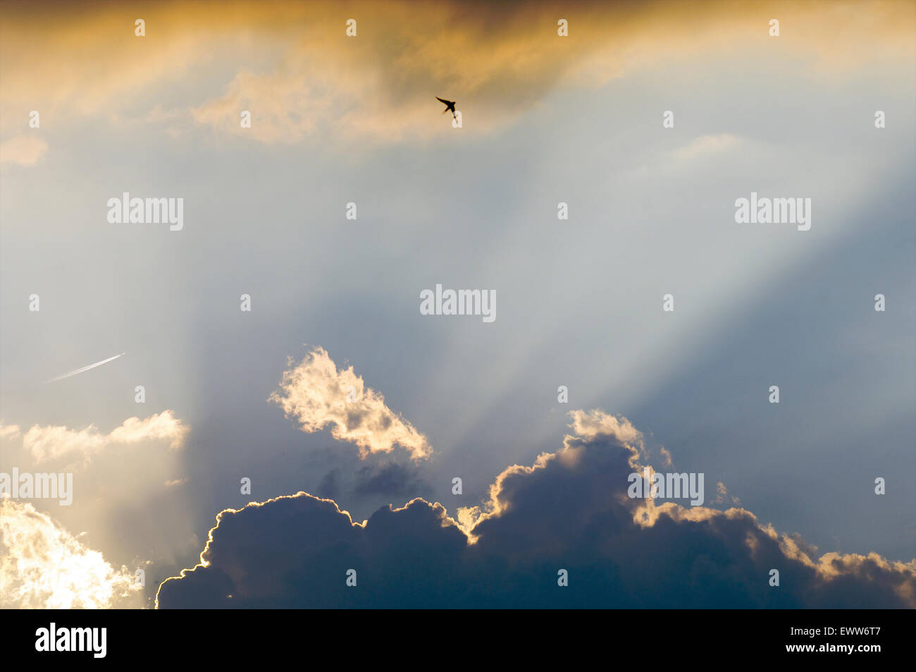 La lumière du soleil venant de derrière les nuages pendant un coucher de soleil avec un oiseau haut dans le ciel Banque D'Images