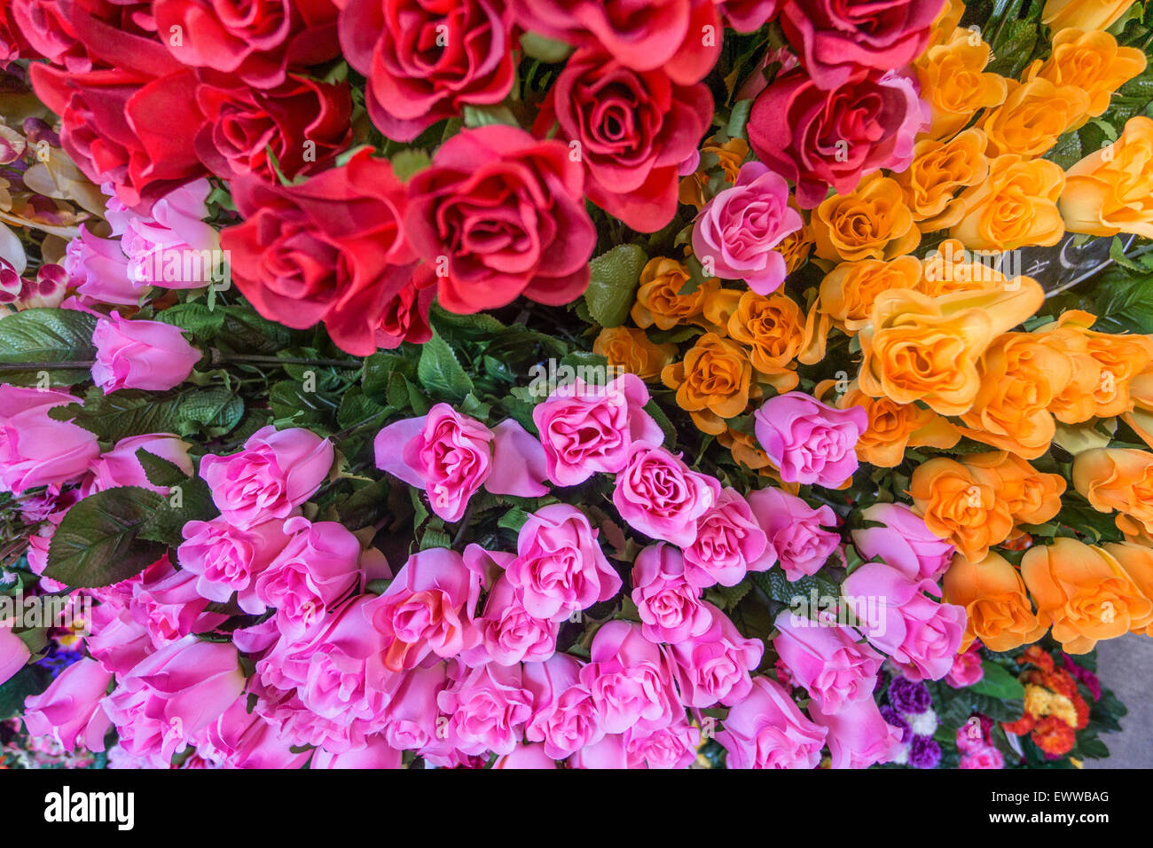 Fleurs , Marché aux Fleurs, Nice, Alpes Maritimes, Provence, Côte d'Azur, Méditerranée, France, Europe, Banque D'Images